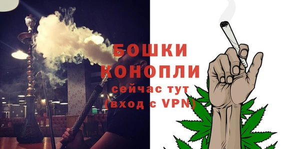 PSILOCYBIN Майский