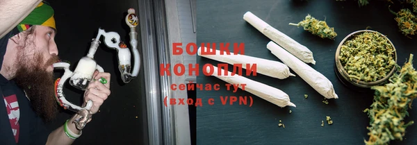 PSILOCYBIN Майский