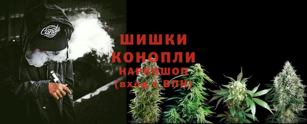 PSILOCYBIN Майский