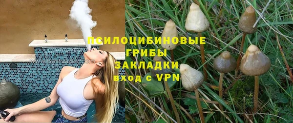 PSILOCYBIN Майский