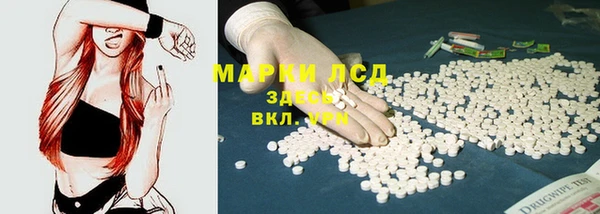 сатива Магадан