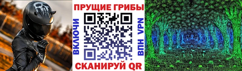 Галлюциногенные грибы Psilocybine cubensis  Купить закладки  Алексеевка 