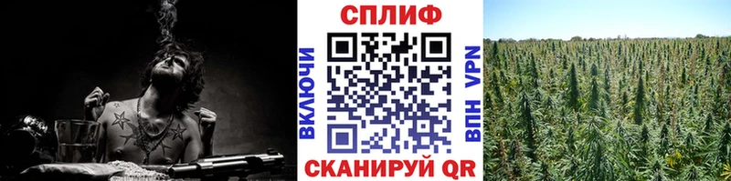 Конопля THC 21% Купить закладки Алексеевка